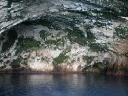 whangarei (75)